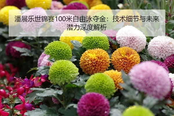 潘展乐世锦赛100米自由泳夺金：技术细节与未来潜力深度解析