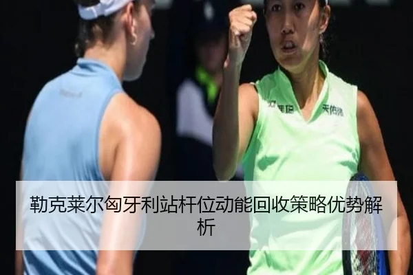 lei-ke-lai-er-xiong-ya-li-zhan-gan-wei-dong-neng-hui-shou-ce-lve-you-shi-jie-xi-3-134.jpg